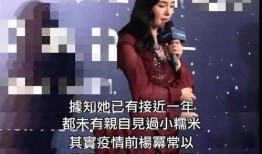 杨幂爆料金瀚视频大全集,揭秘明星幕后故事与情感纠葛