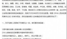 武宁新闻爆料事件始末,真相追踪与舆论漩涡