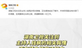 娱乐圈吃瓜营销号推荐,揭秘明星们的“瓜田”秘闻