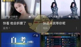 厦门新闻大爆料视频回放,视频回放揭示最新热点事件