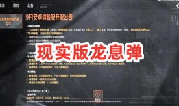 突围爆料视频最新