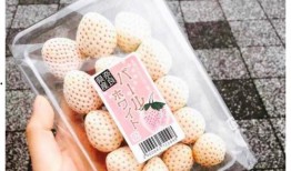 爆料中国吃瓜图片大全视频,图片大全视频背后的社会现象