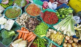 食堂吃瓜的网红有哪些,瓜界风云人物大盘点