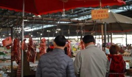 在线观看赶场,线上观影新体验，随时随地享受电影盛宴