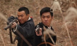 电视剧黑狐全集在线观看,谍影重重，揭秘抗战岁月的生死较量