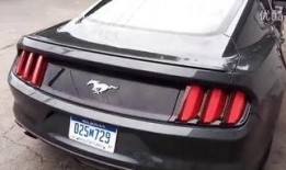 野马在线观看,探寻狂野自由的激情之旅