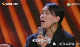 那英王菲爆料视频,揭秘娱乐圈幕后故事