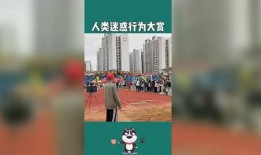 每日生活新爆料视频大全,揭秘日常生活中的新鲜趣事