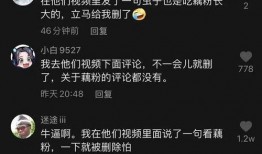 虫子爆料视频真的吗