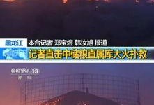 粮仓最新爆料,最新爆料揭示粮食储备背后的惊人真相