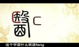 挑情宝鉴在线观看,揭秘古代情爱智慧，在线观看带你领略风月传奇