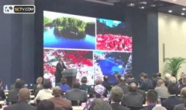 四川新闻资讯频道爆料,揭秘重大事件背后真相