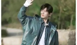 成毅富婆爆料图片视频,独家图片视频揭秘幕后真相