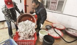 新闻爆料香肠黑作坊事件,揭露食品安全隐患，严打非法加工黑幕