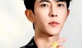 最新男明星爆料,男明星爆料揭秘幕后真相