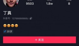 爆料北京博主视频大全最新,精彩瞬间大盘点