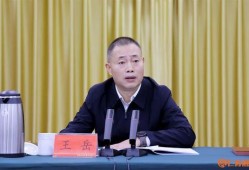 王岳的历史爆料视频大全,视频大全背后的真相与内幕