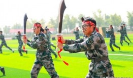 最新军训爆料,严酷训练与青春汗水交织的蜕变之旅