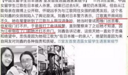 惠州牛仔爆料事件始末视频,真相与争议的交织