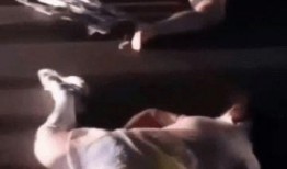 信阳建材港爆料事件视频,揭露背后惊人真相