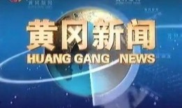 黄冈电视台新闻爆料电话,揭秘新闻爆料热线背后的故事
