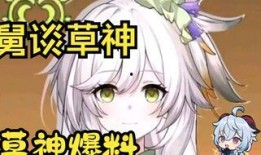 最新爆料原神草猫,原神新角色神秘面纱揭晓，神秘力量引玩家热议