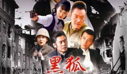 电视剧黑狐全集在线观看,谍影重重，揭秘抗战岁月的生死较量