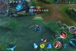 千雪爆料王者荣耀视频在线观看