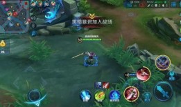 千雪爆料王者荣耀视频在线观看