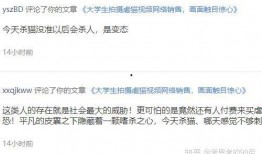 独家爆料模板免费观看视频,揭秘神秘视频背后的独家爆料，免费观看带你一探究竟！