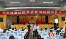 桑植新闻爆料,揭秘当地重大事件背后真相