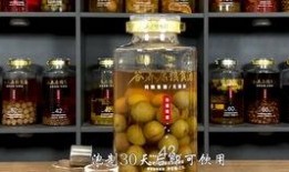 爆料酒的制作视频大全,解锁家常美味新秘籍