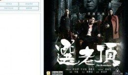 选老项电影在线观看,选老项电影在线观看，重温岁月流转中的光影记忆