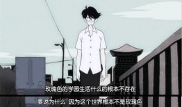 科普爆料小郎君视频,带你走进科学世界的奇妙之旅