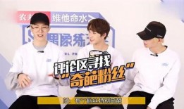 合租兄弟爆料视频大全,揭秘生活趣事与兄弟情谊