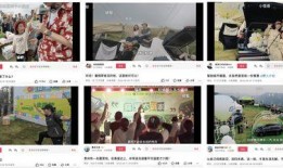 冠县受骗爆料视频大全集,揭秘网络诈骗背后的真相