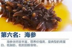 妖怪爆料海参视频,妖怪视角下的神秘生物奇观