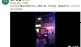 爆料视频拍摄,一窥事件背后真相