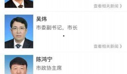 王庄最新爆料新闻视频播放,视频揭秘事件真相，引发网友热议