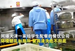 天津学生配餐爆料者视频,揭露校园食品安全黑幕