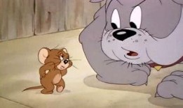 老鼠大神最新爆料视频,老鼠大神最新爆料视频深度解析