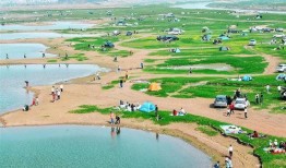 湿地电影手机在线观看,手机在线观影之旅