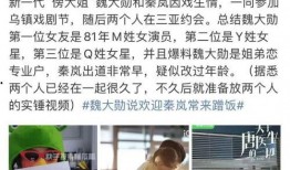 大瓜爆料视频体育生,大瓜爆料视频背后的真相与风采