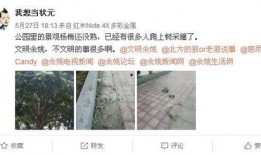 余姚倒粪站爆料案件视频