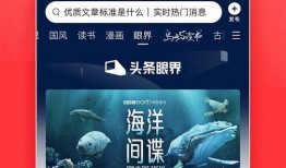 今日头条新闻爆料下载安装,揭秘某热门APP幕后黑幕，下载安装疑云重重