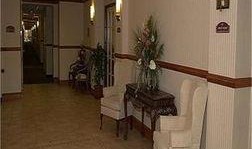 29棕榈镇在线观看,在线重温经典小镇的温馨时光