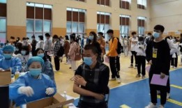 玉圭园最新爆料消息视频,揭秘神秘视频背后的惊人真相