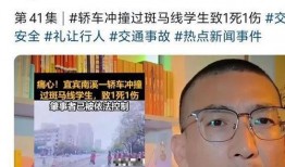 爆料博主被撞视频播放在线观看,网友热议安全出行