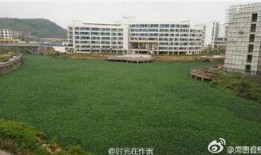 财经学院最新爆料,最新财经动态与趋势解析