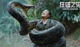 狂蟒之灾免费在线观看,惊心动魄的巨蟒逃亡大作战